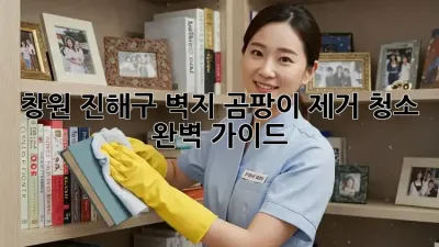 창원 진해구 벽지 곰팡이 제거 청소 완벽 가이드